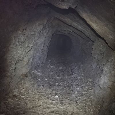 202303131420541)