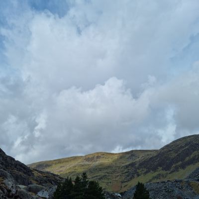 202303141143361)